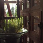 午後の日差しが入ります