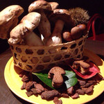 sincere - 秋の装い キノコの収穫