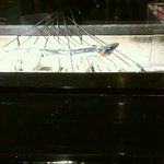 鰻割烹 心艶 - 炭火で焼かれている活き鰻