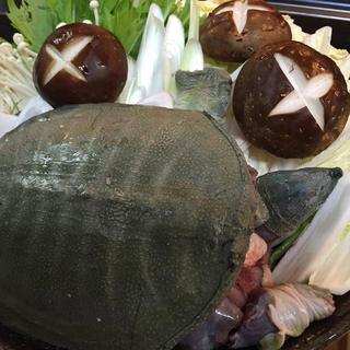 ★Rich soft-soft-shelled turtle turtle hotpot