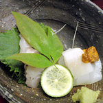 創作茶寮 西村 - 本日鮮魚のお造り盛り合わせ