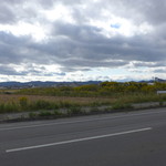 あら浜 - 遠くに蔵王連峰を望む。空き地にはセイタカアワダチソウが生い茂る