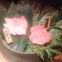 飛騨牛一頭家 馬喰一代 岐阜神田 - 
