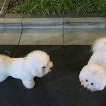 恵比寿 箸庵 - 箸庵前でご対面〜♡