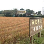 石臼自家挽き蕎麦 みなもと - そば畑の看板