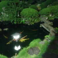 得月楼 - 鯉もいます