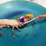 レストラン ラッセ - 28年10月　相模湾より　手長海老の炭火焼き　パンナアーチダを添えて　全景