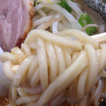 麺 まる井 - 中太麺