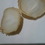 てんぷら 近藤 - 