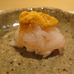 白海老　富山/知多豊浜産紫雲丹