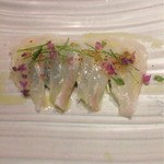 SUGALABO - 五島列島沖 すじあら