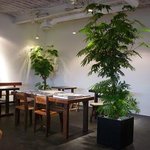 223cafe - 店内