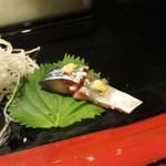 宝寿司分店 - 産地の違うサバ2種類！
      （青森と大分）