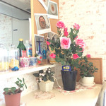 カフェレストラン  びすとろアン - カウンター