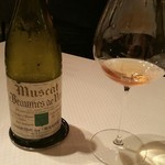 ジョンティ アッシュ - 