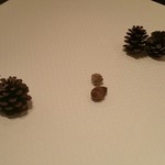 ジョンティ アッシュ - 