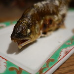 柳家 - 2016.10 鮎のアップ