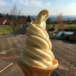 Nagisanroku Yamano Eki - バニラと黒豆ミックス ソフトクリーム