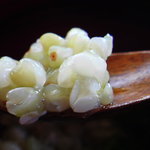 石臼挽き蕎麦香房 山の実 - そばがゆアップ