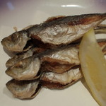 信州酒房 蓼科庵 - 