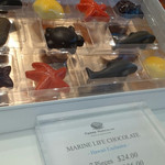 Pierre Marcolini Chocolaterie - 
