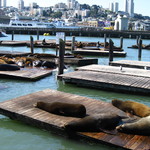 Boudin Bakery & Cafe - 