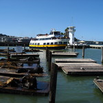 Boudin Bakery & Cafe - 