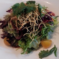 tcc GINZA - 