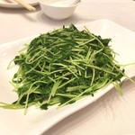 GraceGarden - 白灼豆苗