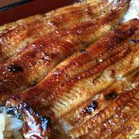 うらわのうなぎ 萬店 - 「鰻重 月」 ２，８００円
