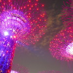 SuperTree by IndoChine - Gardens By The Bay