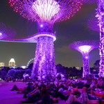 SuperTree by IndoChine - Gardens By The Bay