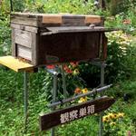山田養蜂場 みつばち農園 - ミツバチ観察巣箱
