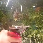 TACUBO - 2016/11　男前に赤ワイン