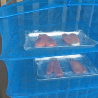 近松 - 店の前でカラスミを干していました