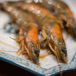 趙楊 - 【酔蝦（ゑはせえび）】