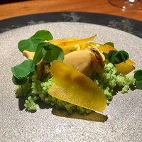 TACUBO - 