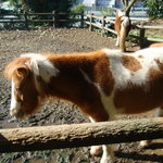 グルメリア但馬 - 