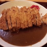 Jaianto - カツカレーは850円です(フォークで食べるのですよ)