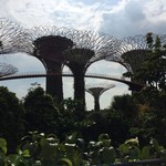 Oriental Western Bistro - Gardens By The Bay OCBC Sky Wayは高さ22ｍを歩く