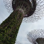 Oriental Western Bistro - Supertree Grove