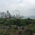 Oriental Western Bistro - Supertreeから見るとこんな感じ