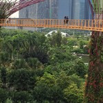 Oriental Western Bistro - 高いよ～((+_+))