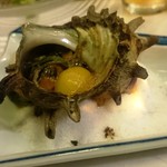 寿し金 - さざえ。