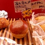 Pooch - (2016,10/22)