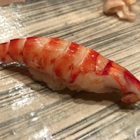 銀座 鮨 かねさか 本店 - 美しい車海老