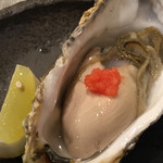 五金 - 厚岸の牡蠣