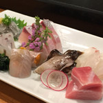 五金 - 刺身盛り