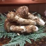 松川 - 岩手県産・信州産 松茸