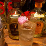 Gatito - 大胆にも菊の花をテキーラに漬け込んだ「もってのほかテキーラトニック」。ほのかに苦い大人の味♪